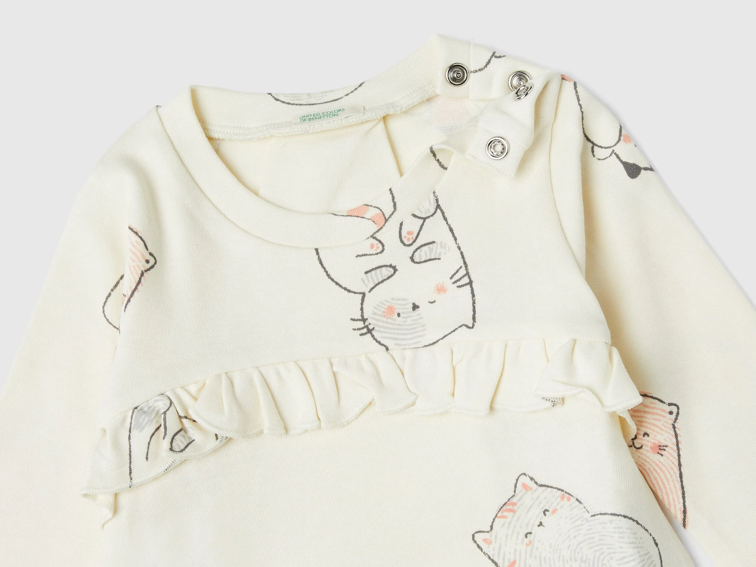 Camiseta gatitos en algodón puro