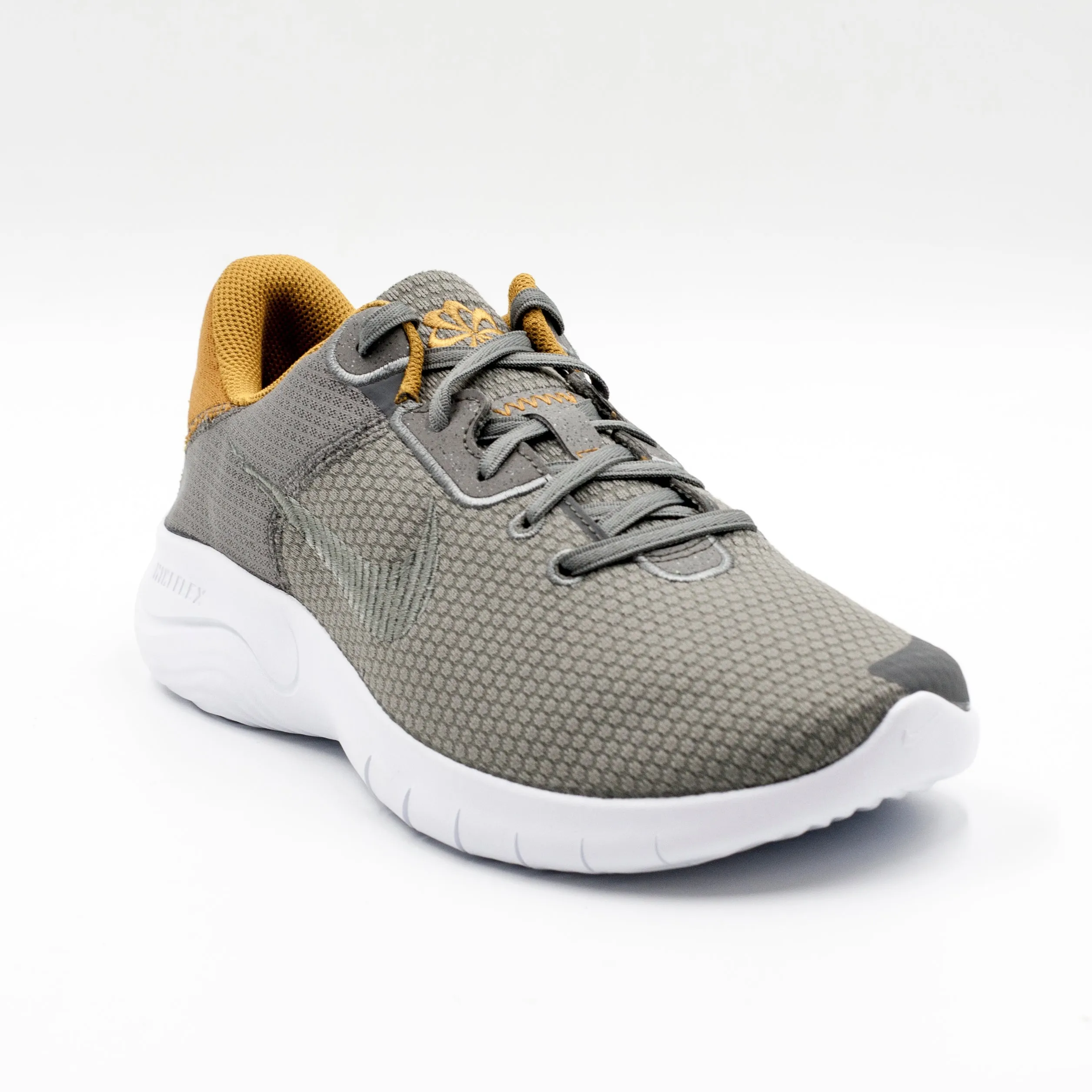 Nike Flex Experience Gris