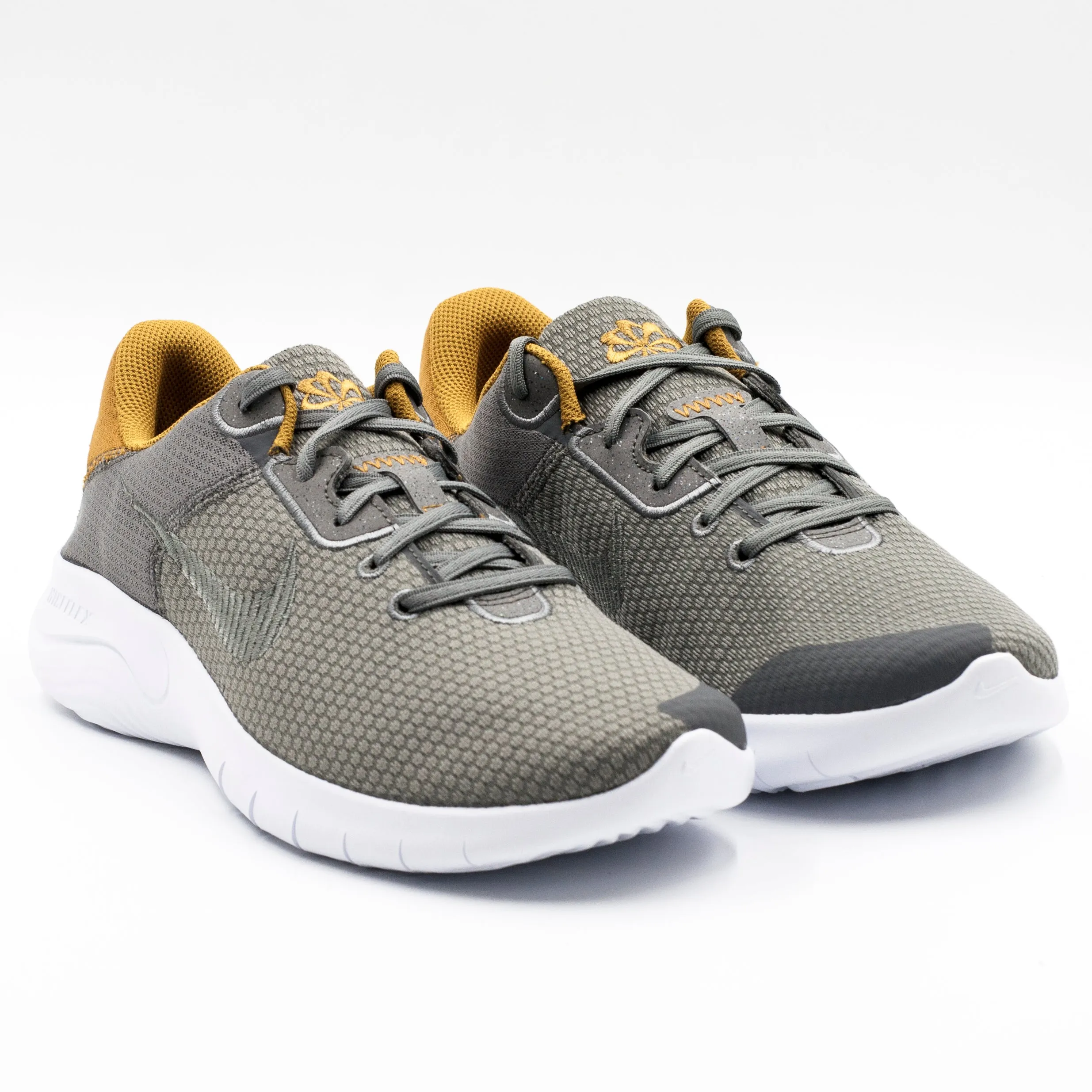 Nike Flex Experience Gris