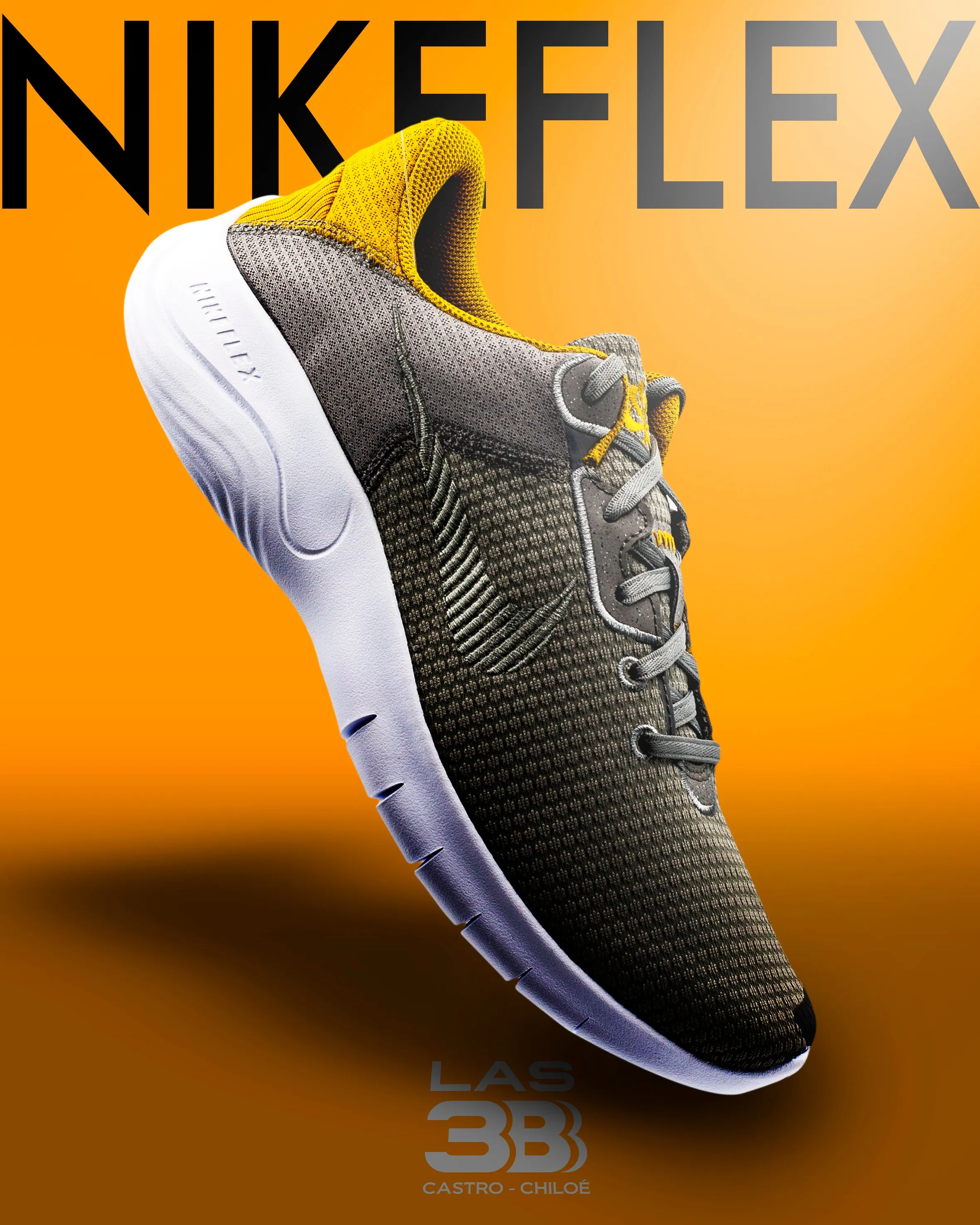 Nike Flex Experience Gris
