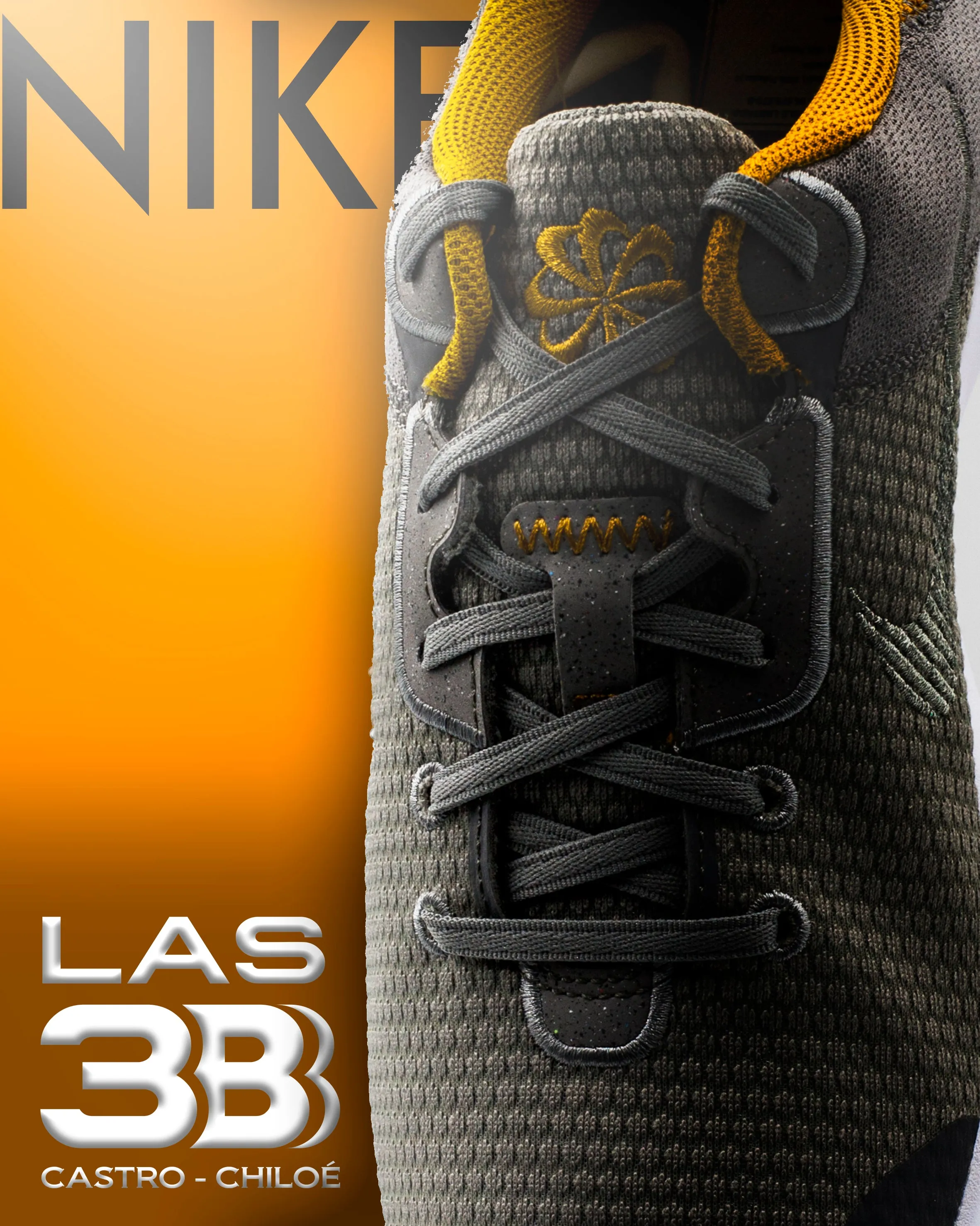 Nike Flex Experience Gris