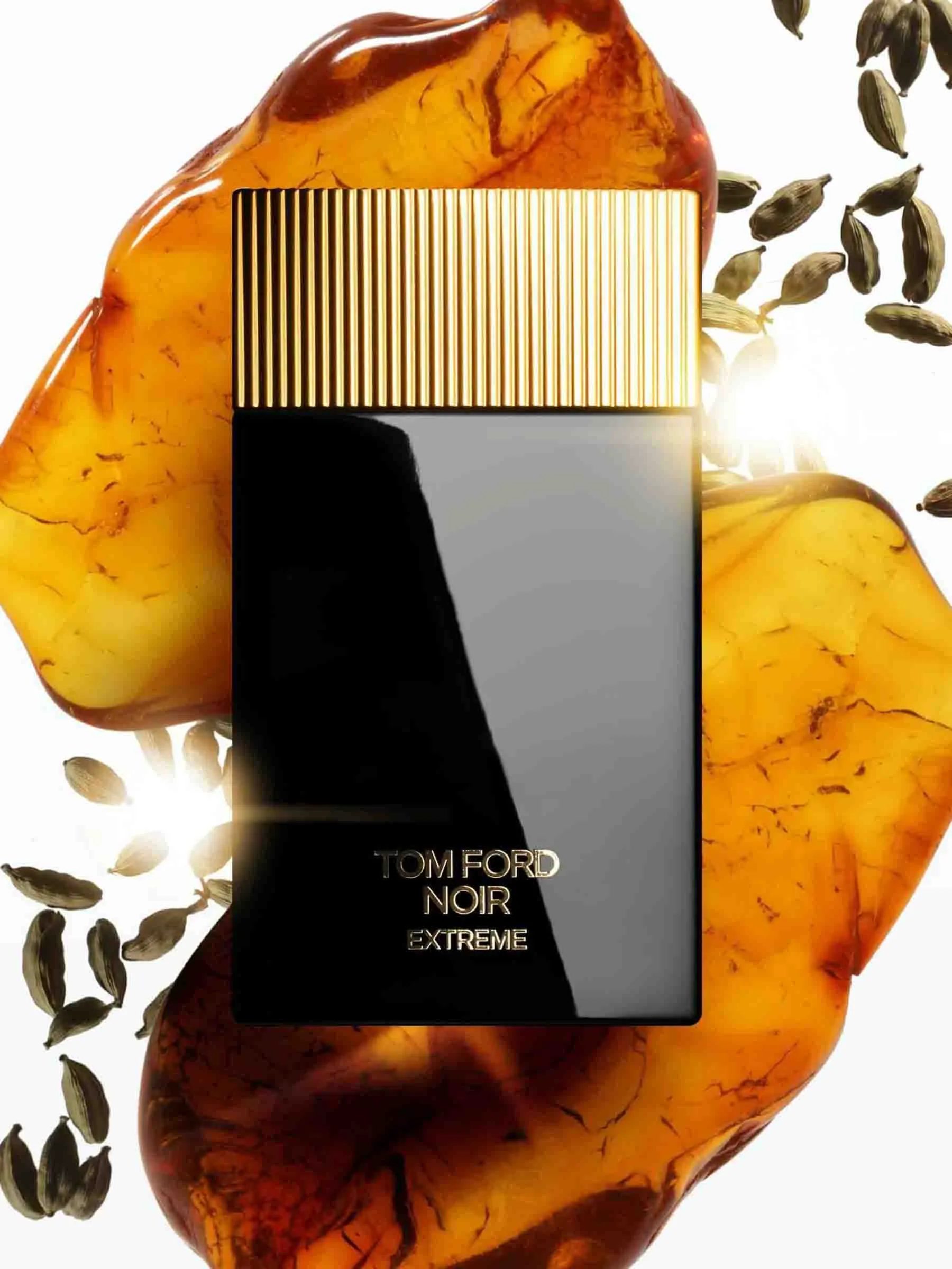 Perfume Noir Extreme