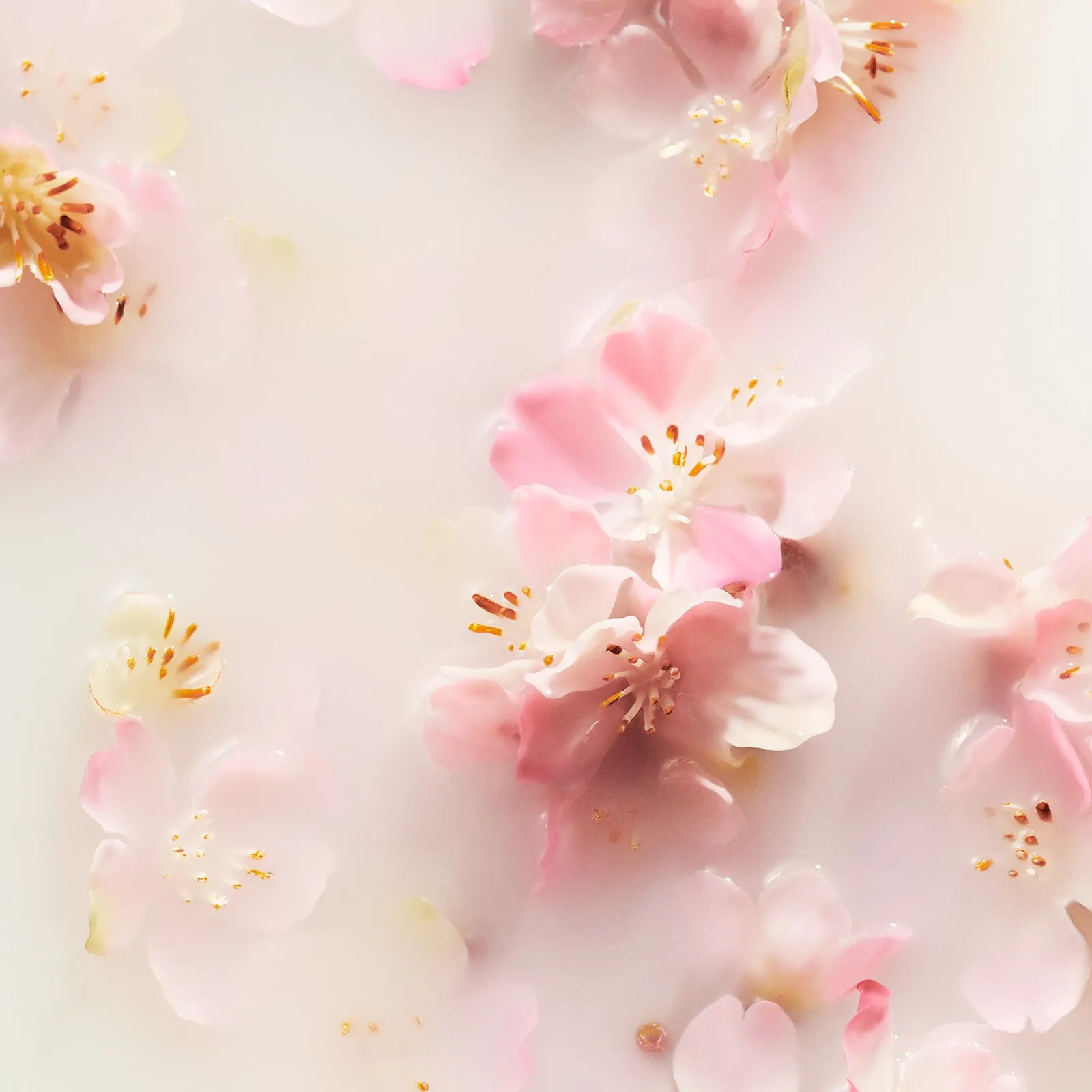 RITUALS THE RITUAL OF SAKURA  ESTUCHE DE VIAJE REVITALIZANTE