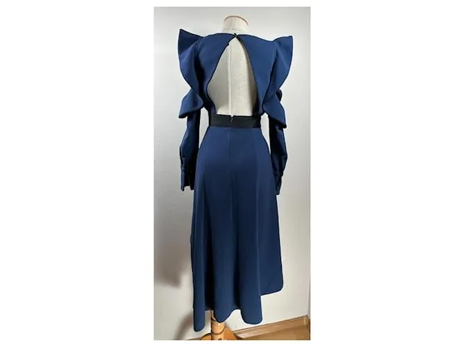 Self portrait Vestidos Azul 