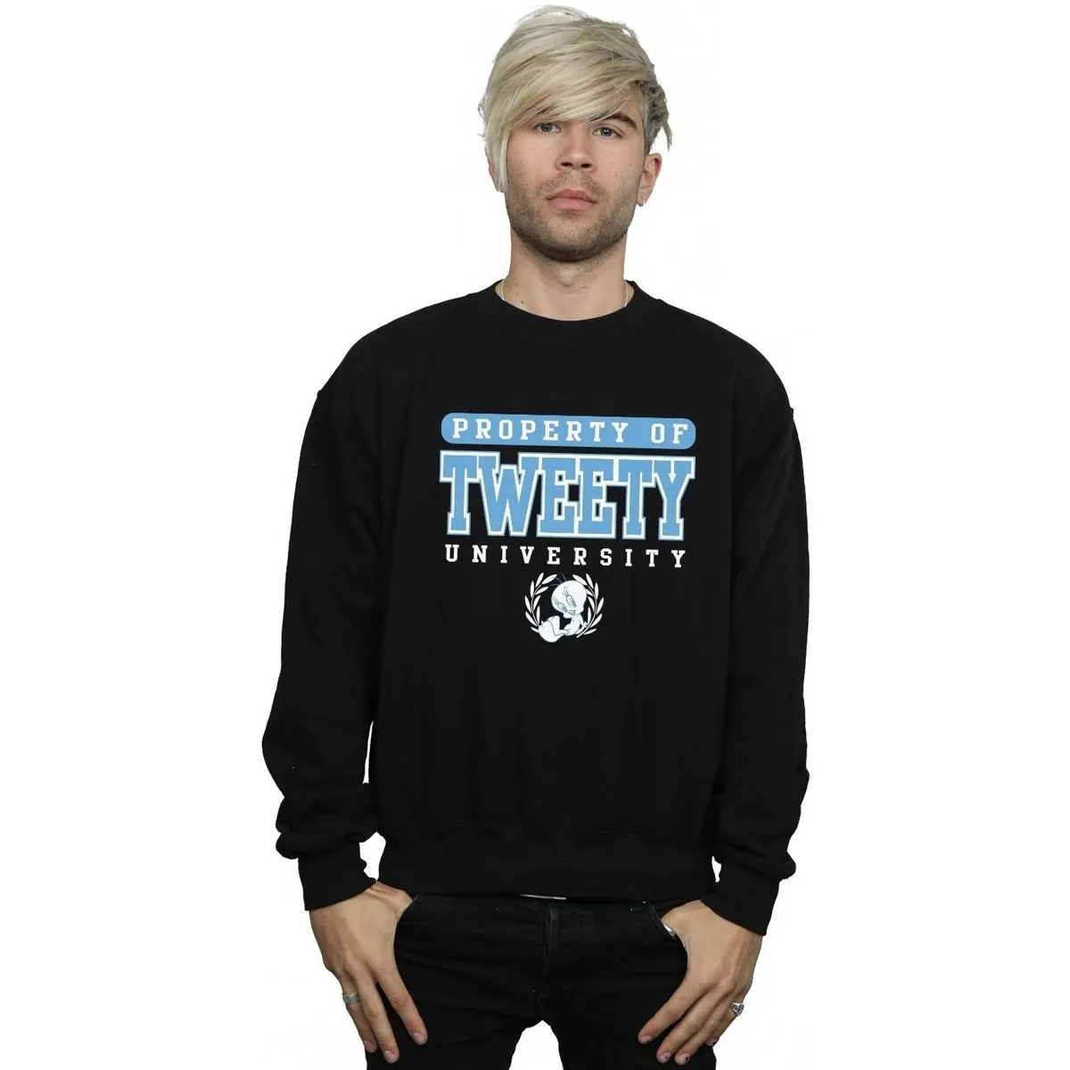 Tweety Property Of University