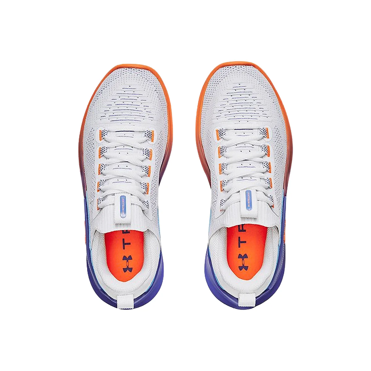 Under Armour Zapatillas W Plow Dynamic – Mujer – 3026107100